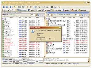 Gekko FTP window 98