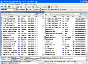 Gekko FTP window XP