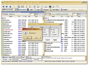 Gekko FTP window 98